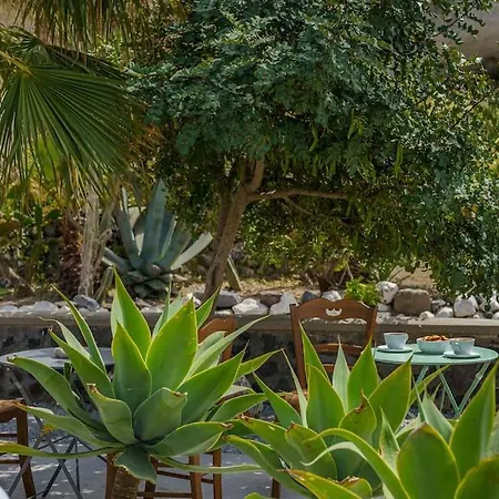 Star Cactus Traditional Cave With Jacuzzi Villa