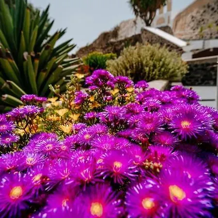 Star Cactus Traditional Cave With Jacuzzi * Messaria (Santorini)